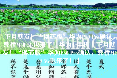 下月就发！“换芯版”华为P50 Pro确认，鼎桥M40 5G也来了！华为4g手机「下月就发！“换芯版”华为P50 Pro确认，鼎桥M40 5G也来了！」