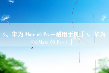9、华为 Mate 60 Pro+耐用手机「9、华为 Mate 60 Pro+」