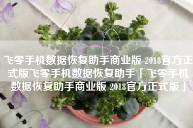 飞零手机数据恢复助手商业版 2018官方正式版飞零手机数据恢复助手「飞零手机数据恢复助手商业版 2018官方正式版」