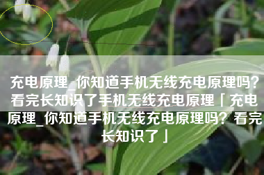 充电原理_你知道手机无线充电原理吗？看完长知识了手机无线充电原理「充电原理_你知道手机无线充电原理吗？看完长知识了」