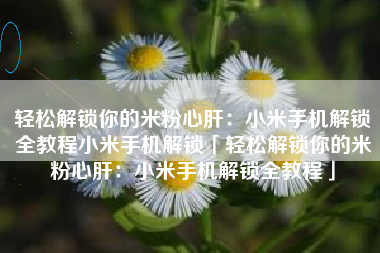 轻松解锁你的米粉心肝：小米手机解锁全教程小米手机解锁「轻松解锁你的米粉心肝：小米手机解锁全教程」