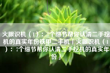 火眼识机（1）：7个细节帮你认清二手挖机的真实年份铁甲二手机「火眼识机（1）：7个细节帮你认清二手挖机的真实年份」