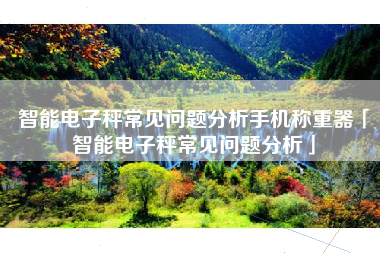 智能电子秤常见问题分析手机称重器「智能电子秤常见问题分析」