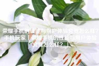 荣耀手机的性能与用户体验究竟怎么样？手机玩家「荣耀手机的性能与用户体验究竟怎么样？」