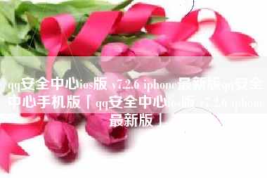 qq安全中心ios版 v7.2.6 iphone最新版qq安全中心手机版「qq安全中心ios版 v7.2.6 iphone最新版」