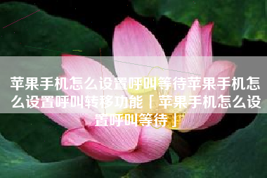 苹果手机怎么设置呼叫等待苹果手机怎么设置呼叫转移功能「苹果手机怎么设置呼叫等待」