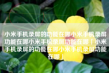 小米手机录屏的功能在哪小米手机录屏功能在哪小米手机录屏功能在哪「小米手机录屏的功能在哪小米手机录屏功能在哪」