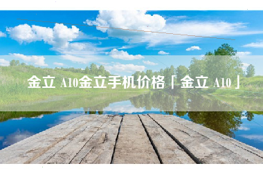 金立 A10金立手机价格「金立 A10」