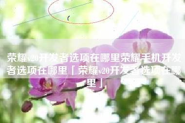 荣耀v20开发者选项在哪里荣耀手机开发者选项在哪里「荣耀v20开发者选项在哪里」