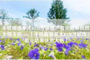 手机需要多大RAM才够用？看完结果恍然大悟手机ram「手机需要多大RAM才够用？看完结果恍然大悟」