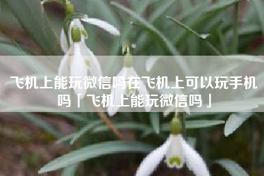 飞机上能玩微信吗在飞机上可以玩手机吗「飞机上能玩微信吗」 飞机上能玩微信吗在飞机上可以玩手机吗「飞机上能玩微信吗」