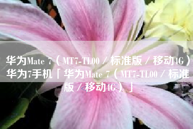华为Mate 7（MT7-TL00／标准版／移动4G）华为7手机「华为Mate 7（MT7-TL00／标准版／移动4G）」