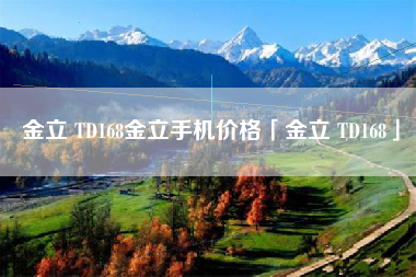 金立 TD168金立手机价格「金立 TD168」
