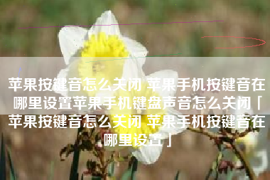 苹果按键音怎么关闭 苹果手机按键音在哪里设置苹果手机键盘声音怎么关闭「苹果按键音怎么关闭 苹果手机按键音在哪里设置」
