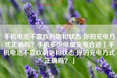 手机电池不喜欢的饱和状态 你的充电方式正确吗？手机多少电量充电合适「手机电池不喜欢的饱和状态 你的充电方式正确吗？」