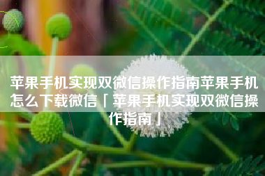 苹果手机实现双微信操作指南苹果手机怎么下载微信「苹果手机实现双微信操作指南」
