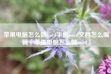 苹果电脑怎么做word手机word文档怎么编辑「苹果电脑怎么做word」