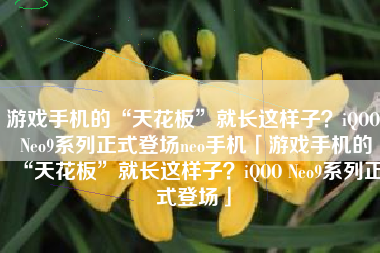 游戏手机的“天花板”就长这样子？iQOO Neo9系列正式登场neo手机「游戏手机的“天花板”就长这样子？iQOO Neo9系列正式登场」