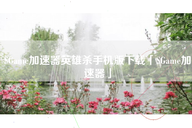 SGame加速器英雄杀手机版下载「SGame加速器」 SGame加速器英雄杀手机版下载「SGame加速器」