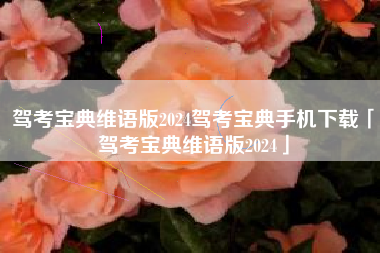 驾考宝典维语版2024驾考宝典手机下载「驾考宝典维语版2024」