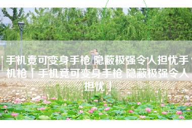 手机竟可变身手枪 隐蔽极强令人担忧手机枪「手机竟可变身手枪 隐蔽极强令人担忧」