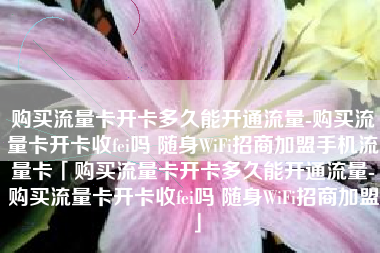 购买流量卡开卡多久能开通流量-购买流量卡开卡收fei吗 随身WiFi招商加盟手机流量卡「购买流量卡开卡多久能开通流量-购买流量卡开卡收fei吗 随身WiFi招商加盟」