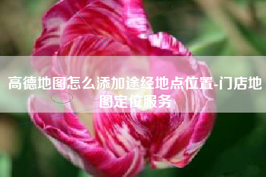 高德地图怎么添加途经地点位置-门店地图定位服务