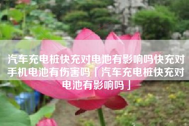 汽车充电桩快充对电池有影响吗快充对手机电池有伤害吗「汽车充电桩快充对电池有影响吗」