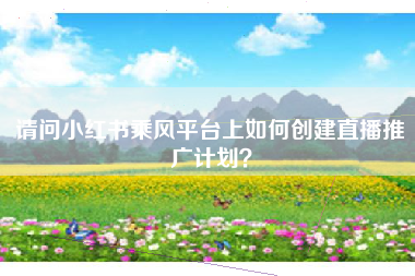 请问小红书乘风平台上如何创建直播推广计划？