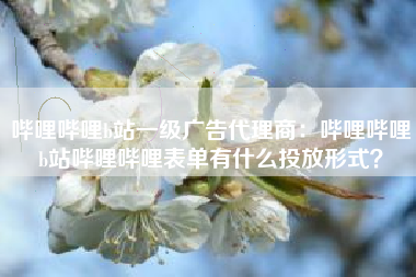 哔哩哔哩b站一级广告代理商：哔哩哔哩b站哔哩哔哩表单有什么投放形式？