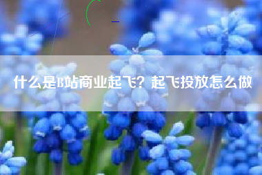 什么是B站商业起飞？起飞投放怎么做