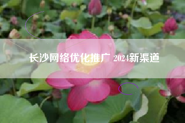 长沙网络优化推广 2024新渠道