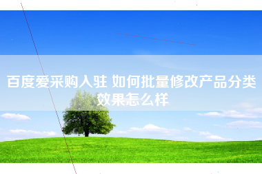 百度爱采购入驻 如何批量修改产品分类 效果怎么样