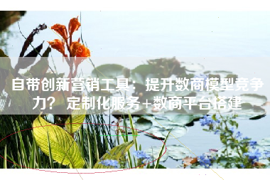 自带创新营销工具：提升数商模型竞争力？ 定制化服务+数商平台搭建