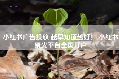 小红书广告投放 越早知道越好！ 小红书聚光平台全国开户