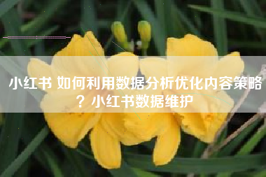 小红书 如何利用数据分析优化内容策略？小红书数据维护