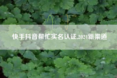 快手抖音帮忙实名认证,2024新渠道