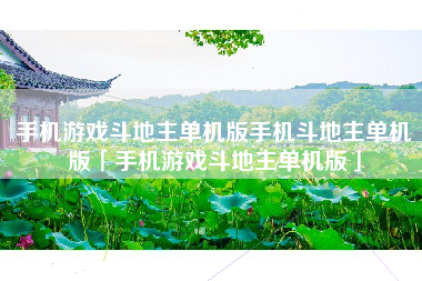 手机游戏斗地主单机版手机斗地主单机版「手机游戏斗地主单机版」
