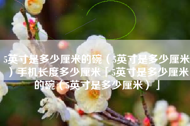 5英寸是多少厘米的碗（5英寸是多少厘米）手机长度多少厘米「5英寸是多少厘米的碗（5英寸是多少厘米）」