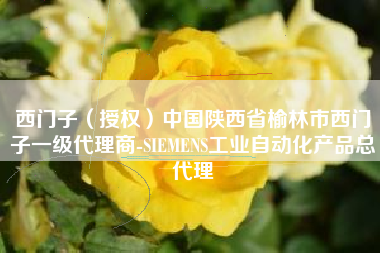 西门子（授权）中国陕西省榆林市西门子一级代理商-SIEMENS工业自动化产品总代理