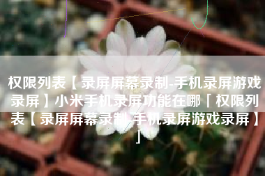 权限列表【录屏屏幕录制-手机录屏游戏录屏】小米手机录屏功能在哪「权限列表【录屏屏幕录制-手机录屏游戏录屏】」 权限列表【录屏屏幕录制-手机录屏游戏录屏】小米手机录屏功能在哪「权限列表【录屏屏幕录制-手机录屏游戏录屏】」