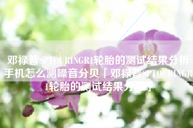邓禄普SPTOURINGR1轮胎的测试结果分析手机怎么测噪音分贝「邓禄普SPTOURINGR1轮胎的测试结果分析」