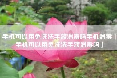 手机可以用免洗洗手液消毒吗手机消毒「手机可以用免洗洗手液消毒吗」 手机可以用免洗洗手液消毒吗手机消毒「手机可以用免洗洗手液消毒吗」