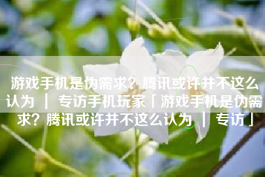 游戏手机是伪需求？腾讯或许并不这么认为 ｜ 专访手机玩家「游戏手机是伪需求？腾讯或许并不这么认为 ｜ 专访」