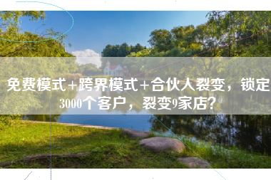 免费模式+跨界模式+合伙人裂变，锁定3000个客户，裂变9家店？