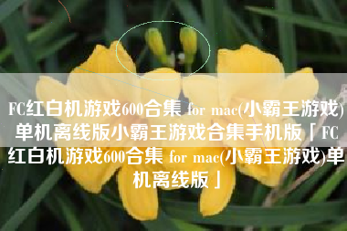 FC红白机游戏600合集 for mac(小霸王游戏)单机离线版小霸王游戏合集手机版「FC红白机游戏600合集 for mac(小霸王游戏)单机离线版」