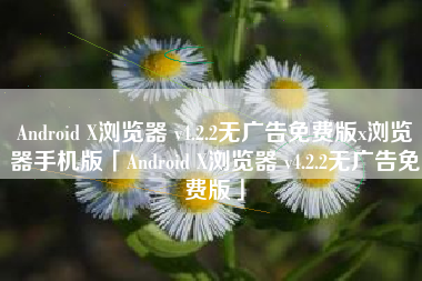 Android X浏览器 v4.2.2无广告免费版x浏览器手机版「Android X浏览器 v4.2.2无广告免费版」