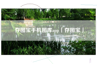 存图宝手机图库app「存图宝」