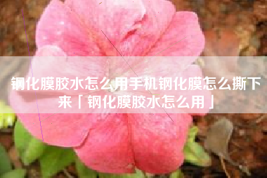 钢化膜胶水怎么用手机钢化膜怎么撕下来「钢化膜胶水怎么用」