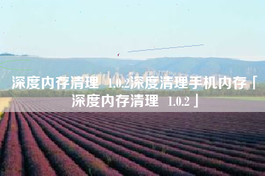 深度内存清理 1.0.2深度清理手机内存「深度内存清理 1.0.2」 深度内存清理 1.0.2深度清理手机内存「深度内存清理 1.0.2」